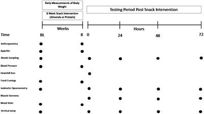 Chronic almond nut snacking alleviates perceived muscle soreness following downhill running but does not improve indices of cardiometabolic health in mildly overweight, middle-aged, adults
